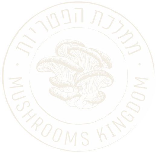 ממלכת הפטריות / Mushrooms Kingdom